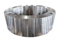 熱処理2500mm DIN 1.4301のステンレス鋼の鍛造材