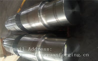 熱い造られた丸棒荒い機械で造られた JIS DIN EN ASTM AISI の合金鋼鉄およびステンレス鋼